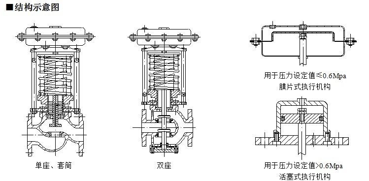 ZYAP-5.jpg