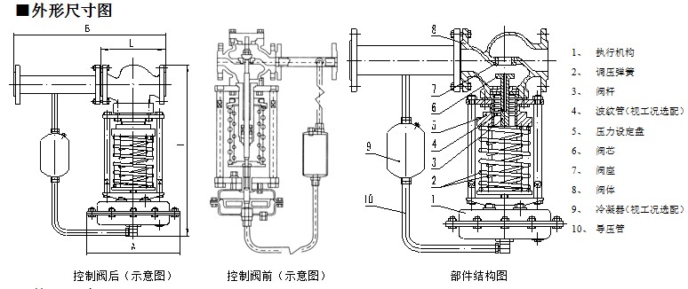 ZYAP-6.jpg