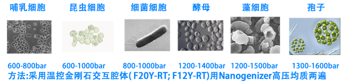 微射流均質機行業應用細胞破碎