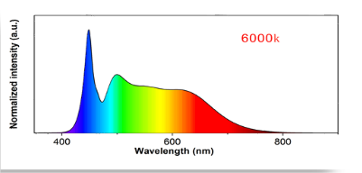cd36fc0f-35f8-4540-9813-910022180610.png