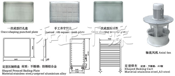 網圖.jpg