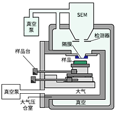 圖1：大氣壓或負壓觀察時