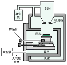 圖2：低真空觀察時